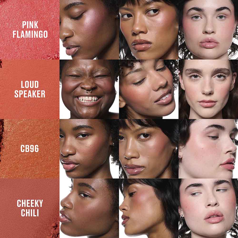 M&middot;A&middot;C SKINFINISH COLOURSTRUCK BLUSH (RUBOR EN POLVO)